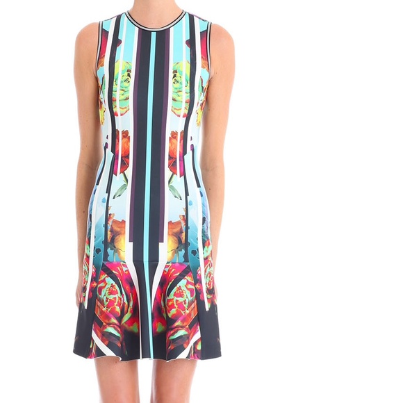 ‼️LOWEST ‼️ LAST CHANCE ‼️ Clover Canyon Fit and Flare Rose Dress - Picture 2 of 4